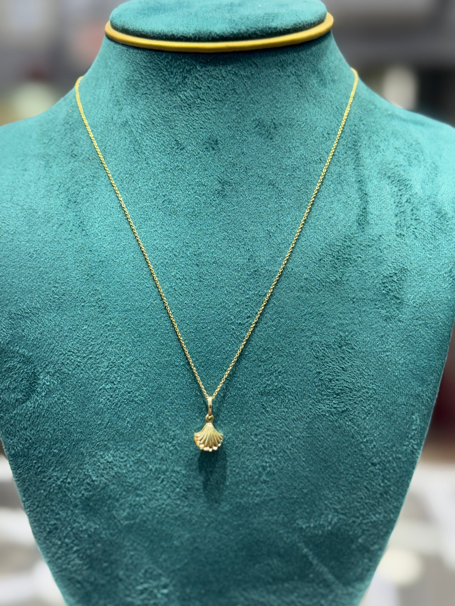 💛 14K Gold Anchor Chain Necklace with Sea Shell Pendant – 16 Inches 💛