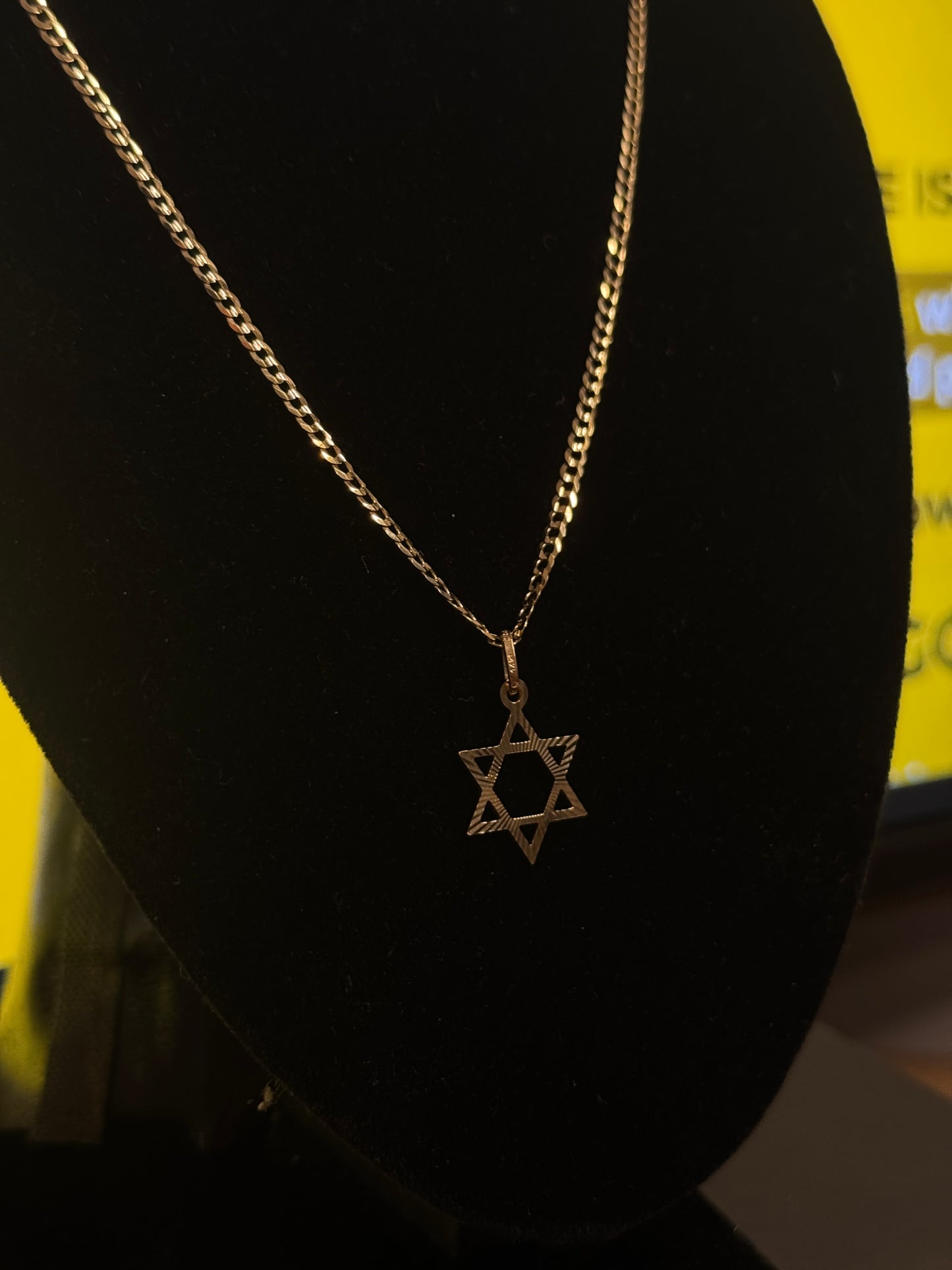 14K Gold Curb Link Chain with King David Pendant – Unisex